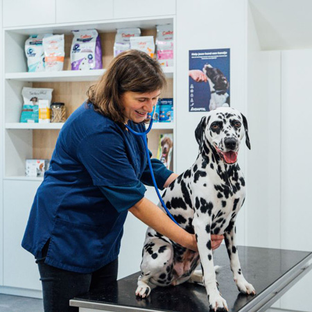 Dierenarts Marieke Mestdagh